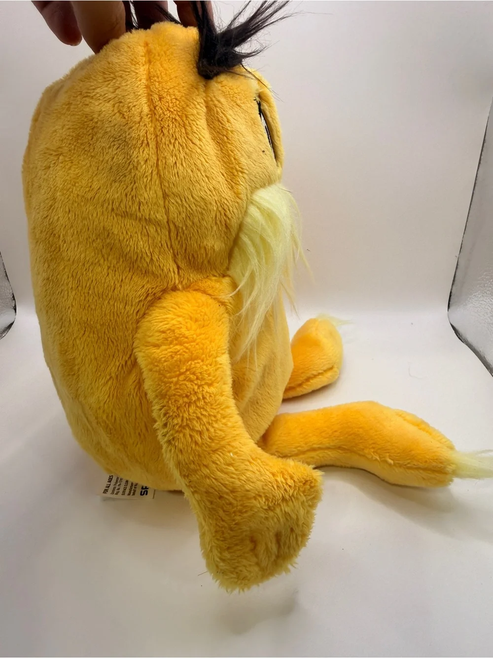 Dr. Seuss The Lorax 12